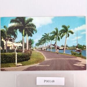 Vintage Florida Postcard Delray Beach Marine Way 1956 Bridge Palm Trees